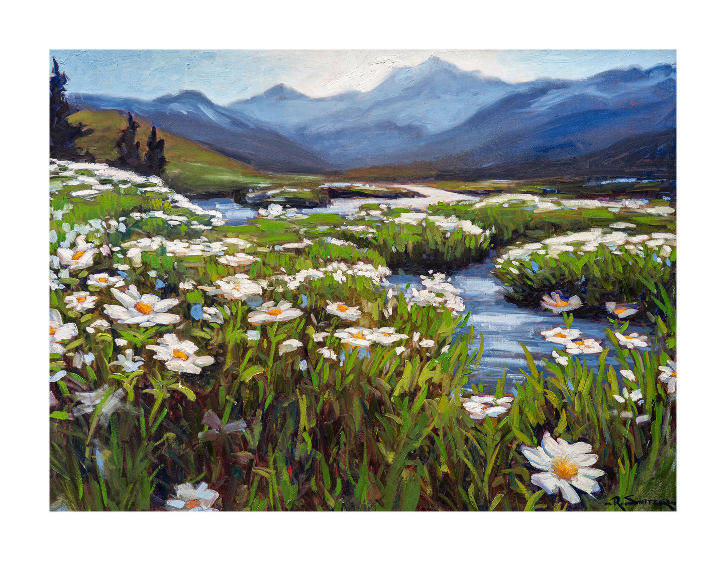 "Daisy Valley" | Fine Art Greeting Card