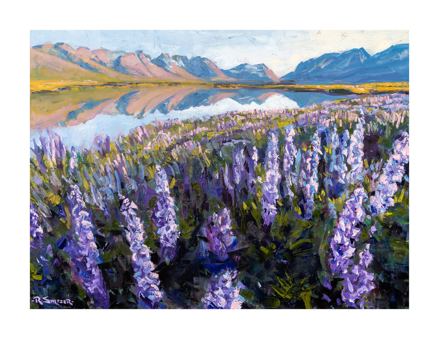 Lupine Reflections | Fine Art Giclée Print