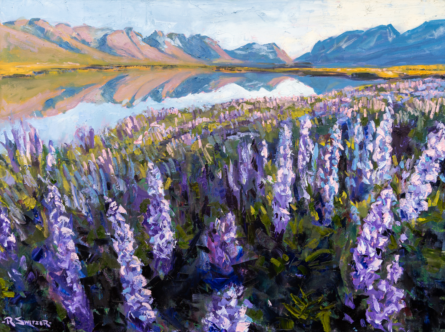 Lupine Reflections