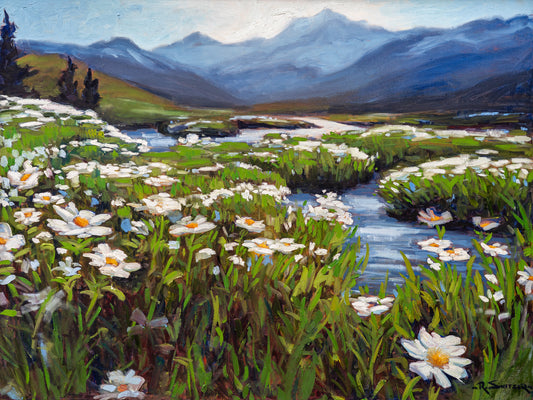 Daisy Valley