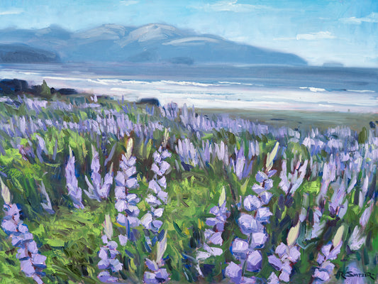 Ocean Lupine