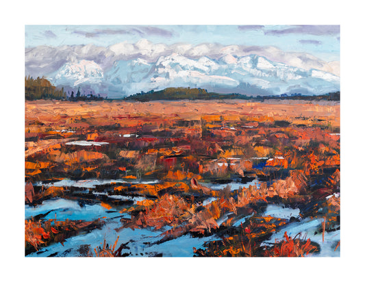 Boardwalk Swamp | Fine Art Giclée Print