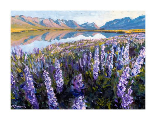 Lupine Reflections | Fine Art Giclée Print