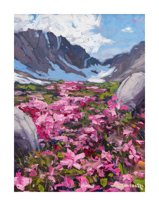 Mountain Fireweed | Fine Art Giclée Print