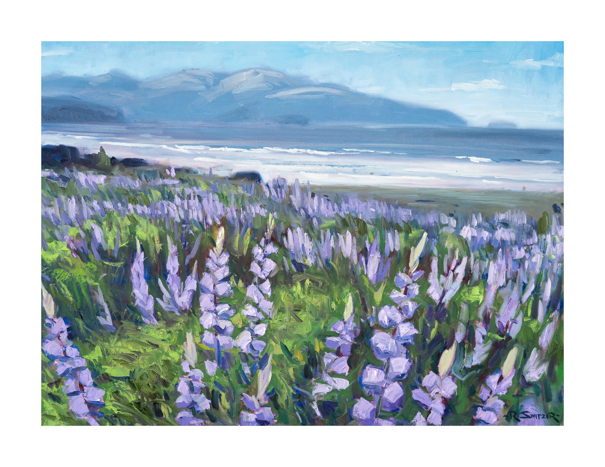 Ocean Lupine | Fine Art Giclée Print