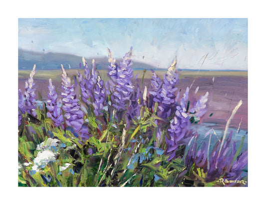 Seaside Lupine | Fine Art Giclée Print