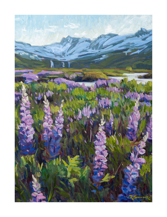 Valley Bloom | Fine Art Giclée Print