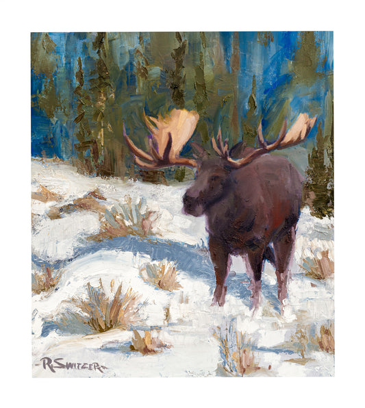 Winter Moose | Fine Art Giclée Print